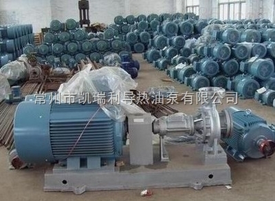 常州武进热油泵解析 专业解读高温、微型热油泵及其应用